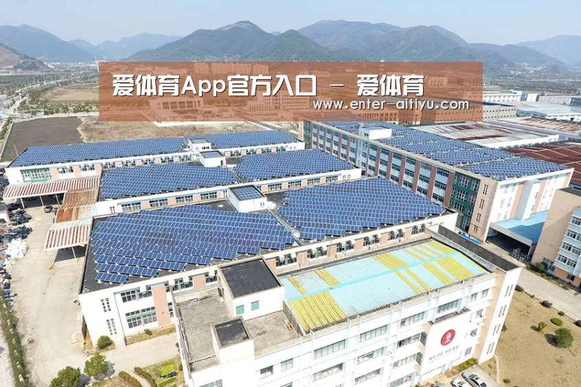 案例展示一