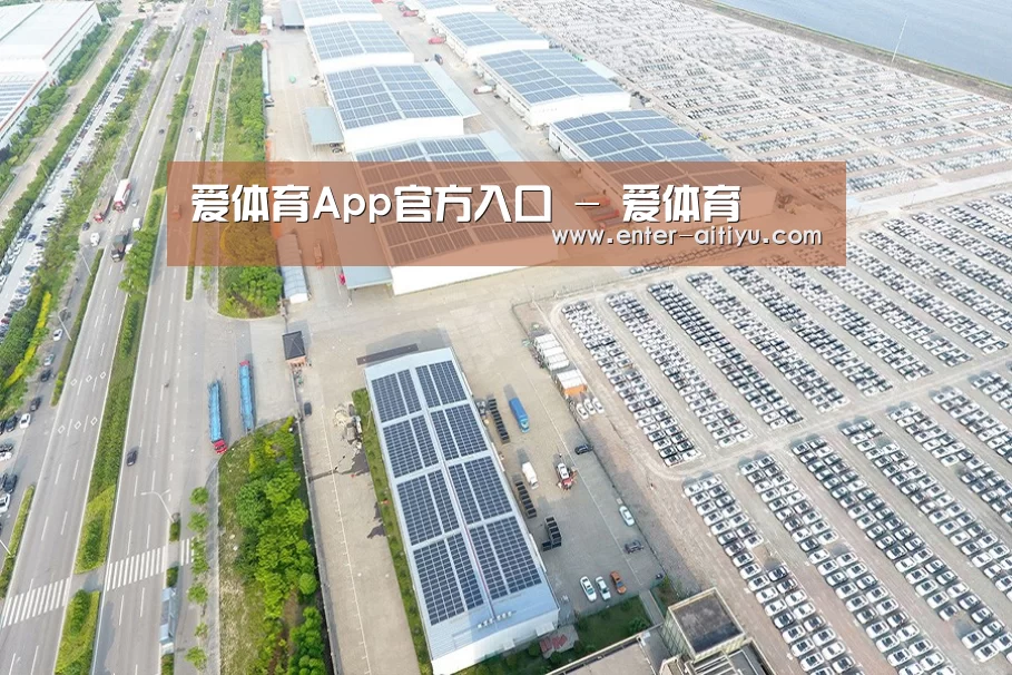 案例展示四